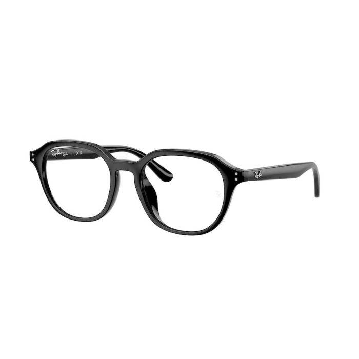 RAY-BAN RX7259D 2000
