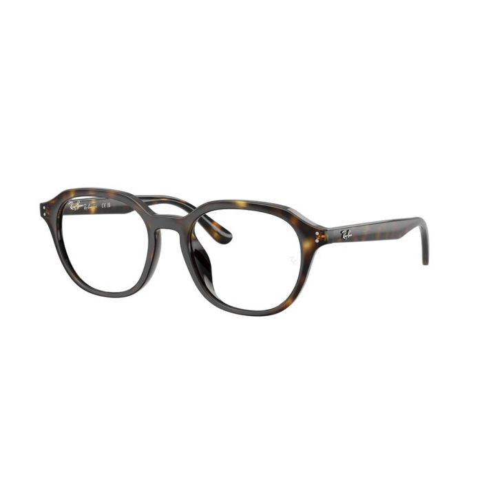 RAY-BAN RX7259D 2012