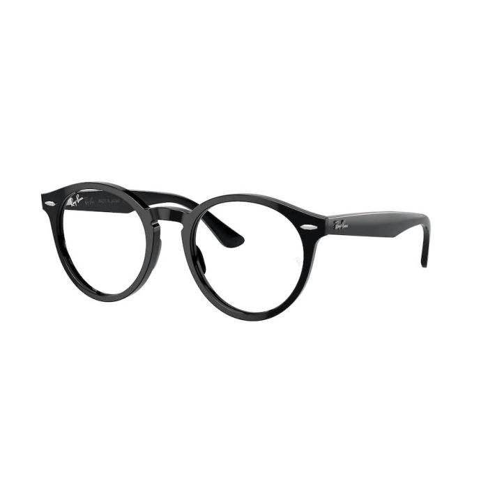 RAY-BAN LARRY RX7680V 2000