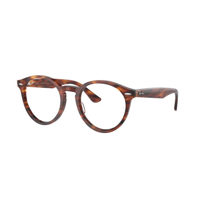 RAY-BAN LARRY RX7680V 2144 RAY-BAN LARRY RX7680V 2144