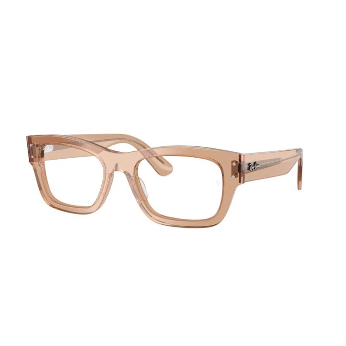 RAY-BAN JOSEPH RX7683V 8553