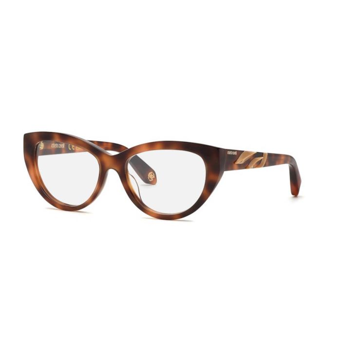 ROBERTO CAVALLI VRC024M 02BV