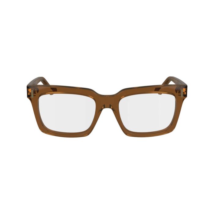 SALVATORE FERRAGAMO SF2993 232