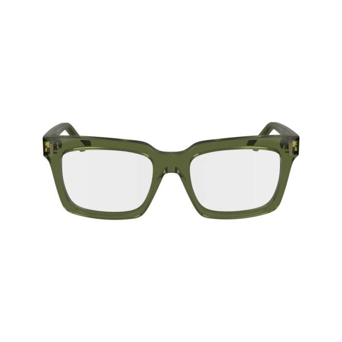SALVATORE FERRAGAMO SF2993 320