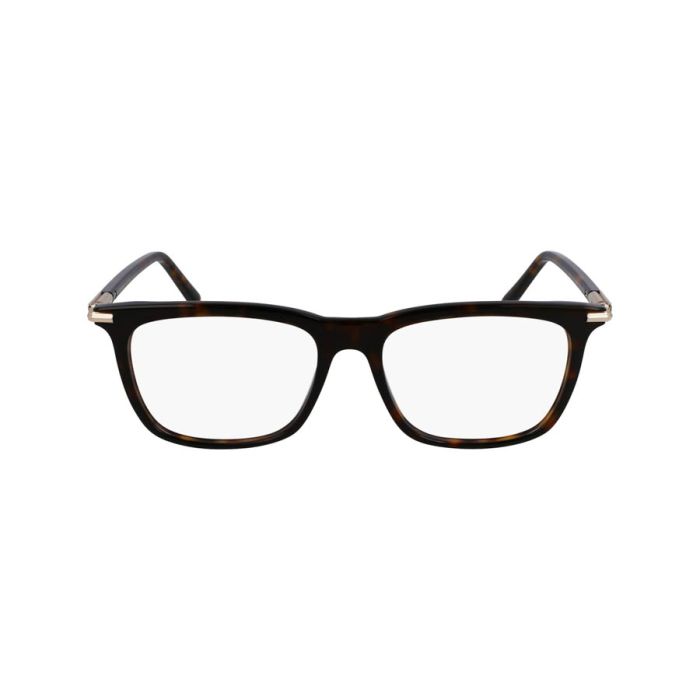 SALVATORE FERRAGAMO SF3007 242