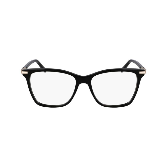SALVATORE FERRAGAMO SF3013 001