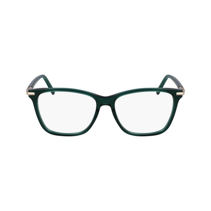 SALVATORE FERRAGAMO SF3013 317
