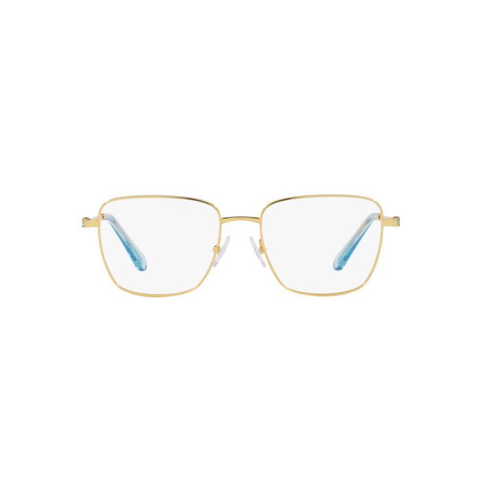 SWAROVSKI SK1003 4021
