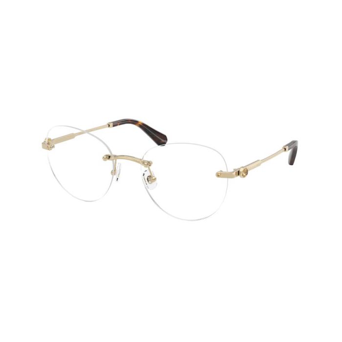 SWAROVSKI SK1021 4013
