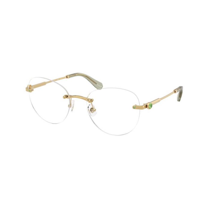 SWAROVSKI SK1021 4017