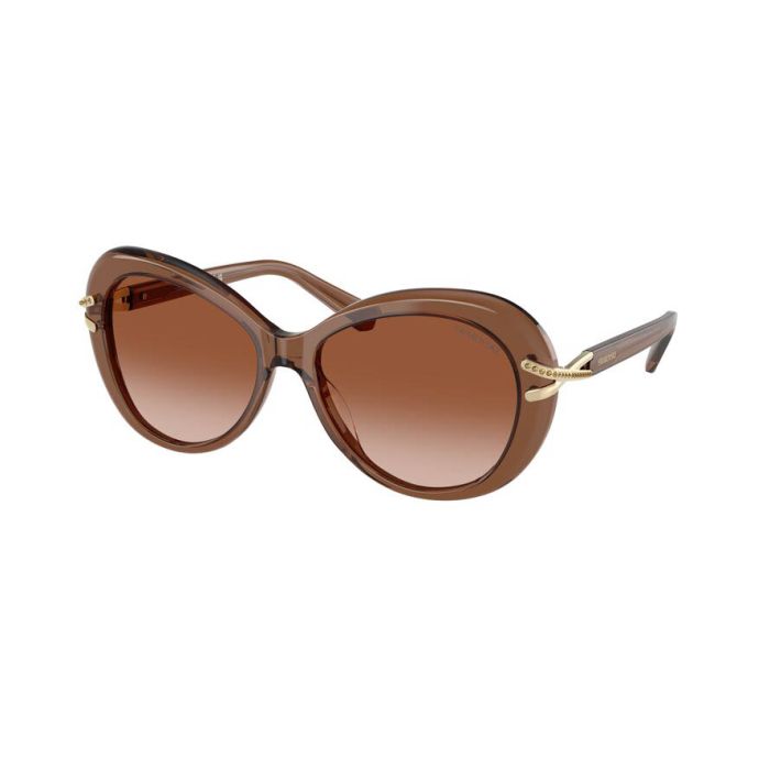 SWAROVSKI SK6026 106713