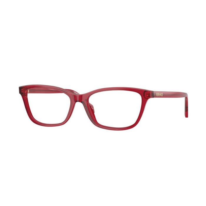 VERSACE VE3375 5520