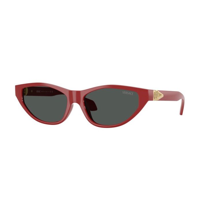 VERSACE VE4491U 538887