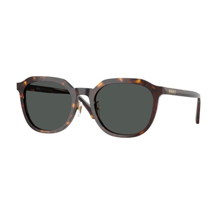 VERSACE VE4493D 108/87
