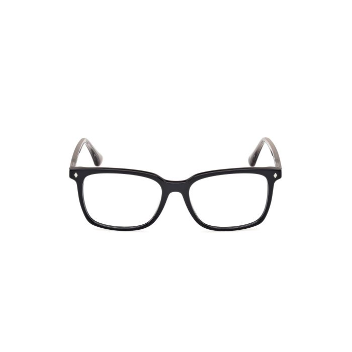 WEB WE5401 001