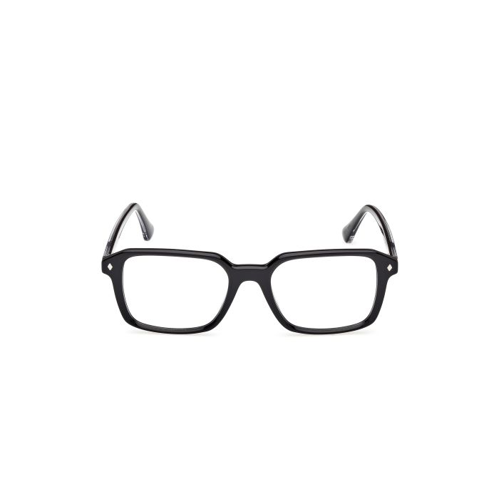 WEB WE5463 005