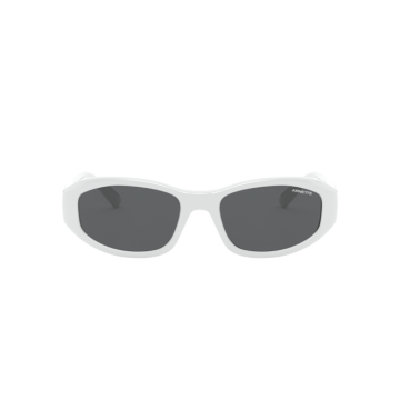 ARNETTE LIZARD AN4266 262487
