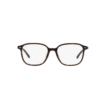 RAY-BAN LEONARD RB2193 902/GH