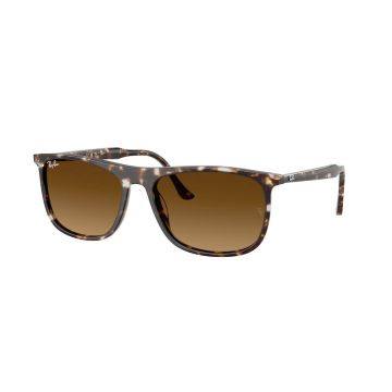 RAY-BAN RB2216 143185