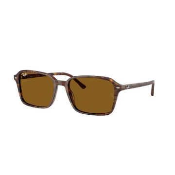 RAY-BAN RAIMOND RB2231 141833