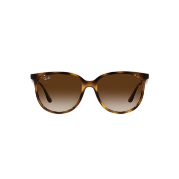RAY-BAN RB4378 710/13
