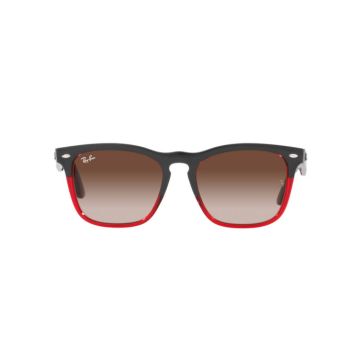 RAY-BAN STEVE RB4487 663113