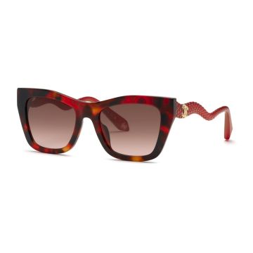 ROBERTO CAVALLI SRC129M 0795