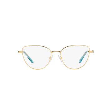 SWAROVSKI SK1007 4021